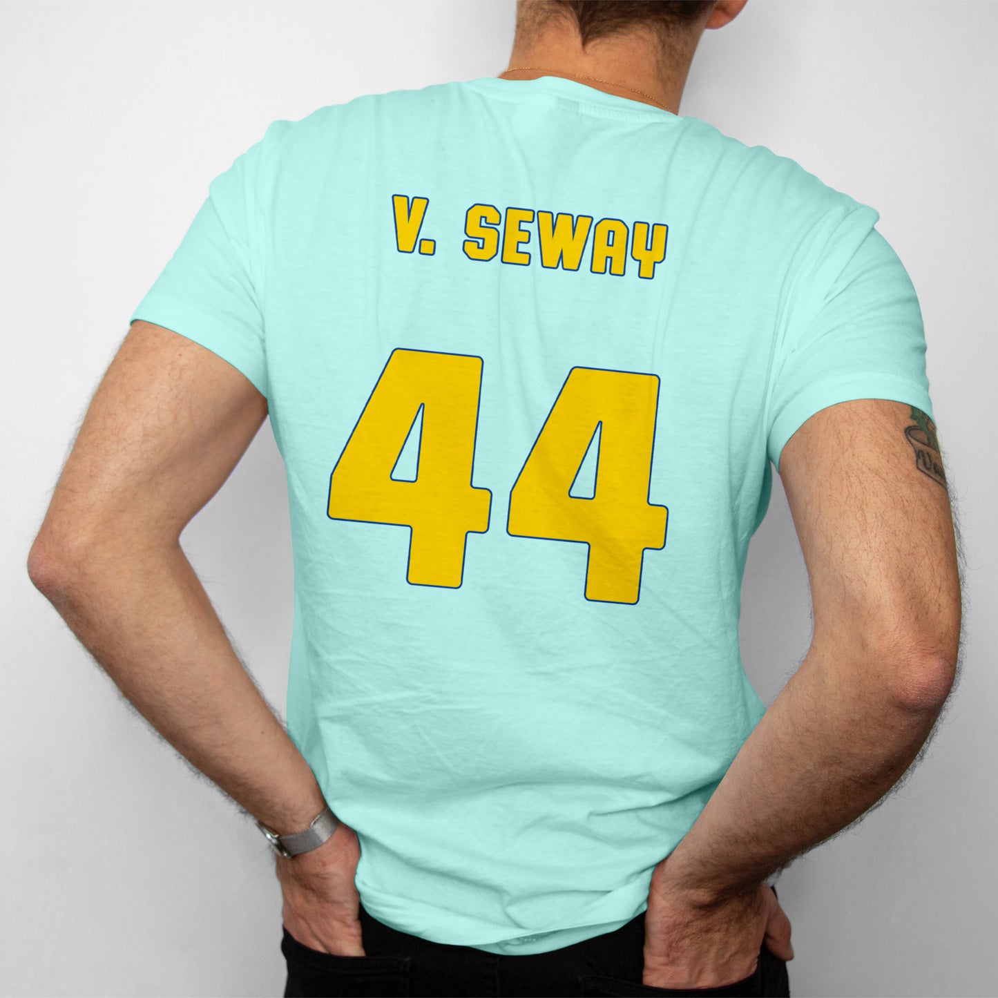V. SEWAY