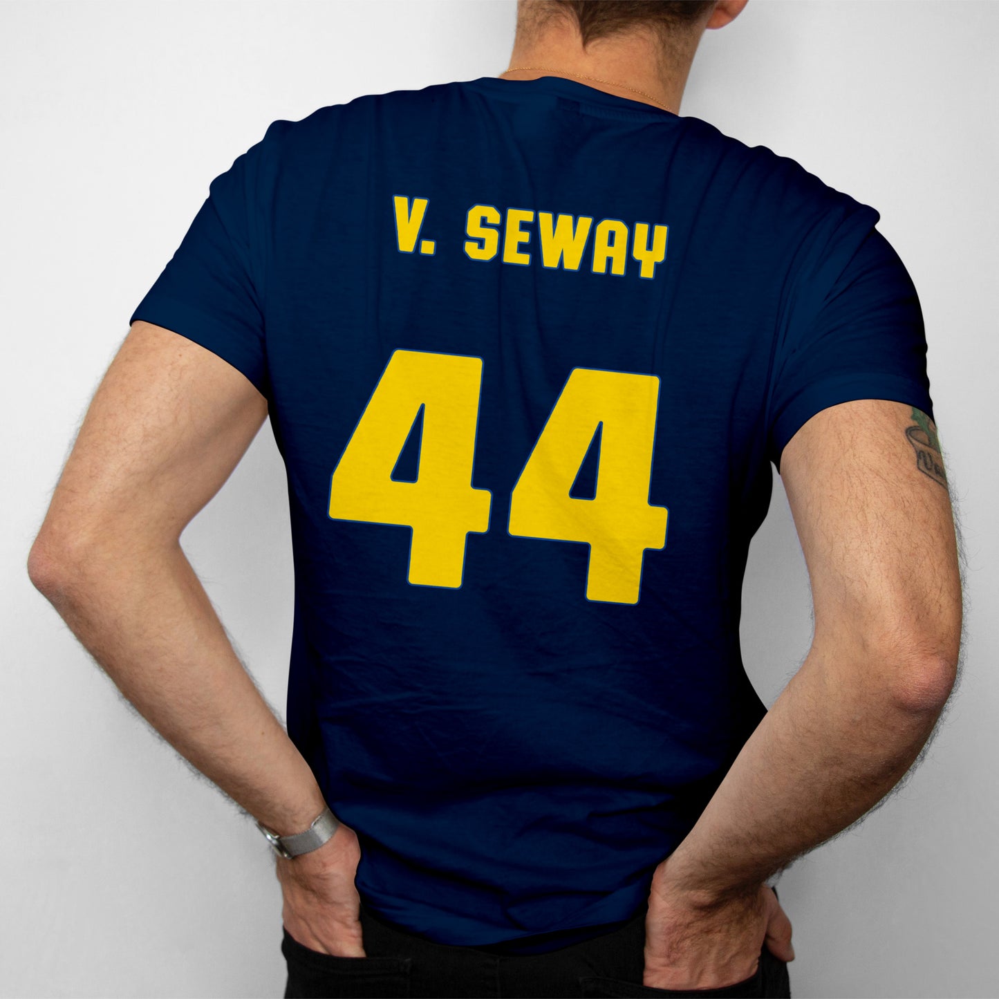 V. SEWAY
